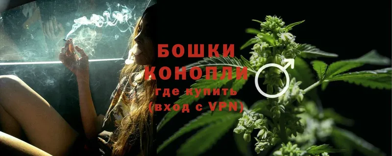 Конопля White Widow  ОМГ ОМГ ссылка  Западная Двина 